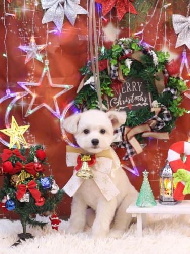 20231201ヌンくん